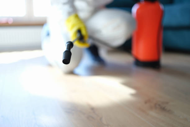 Best Residential Mold Inspection & Testing  in Olympia, SC