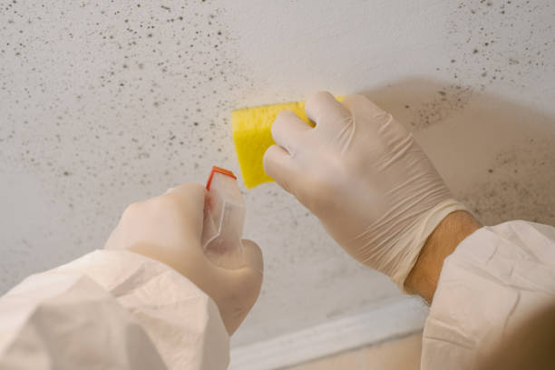 Best Indoor Air Quality Assessment  in Olympia, SC