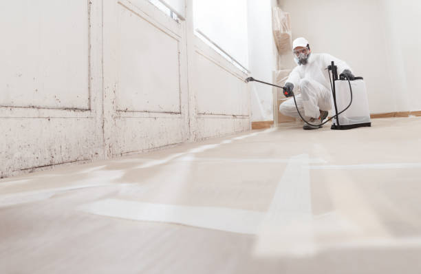 Asbestos and Lead Testing During Mold Inspection in Olympia, SC